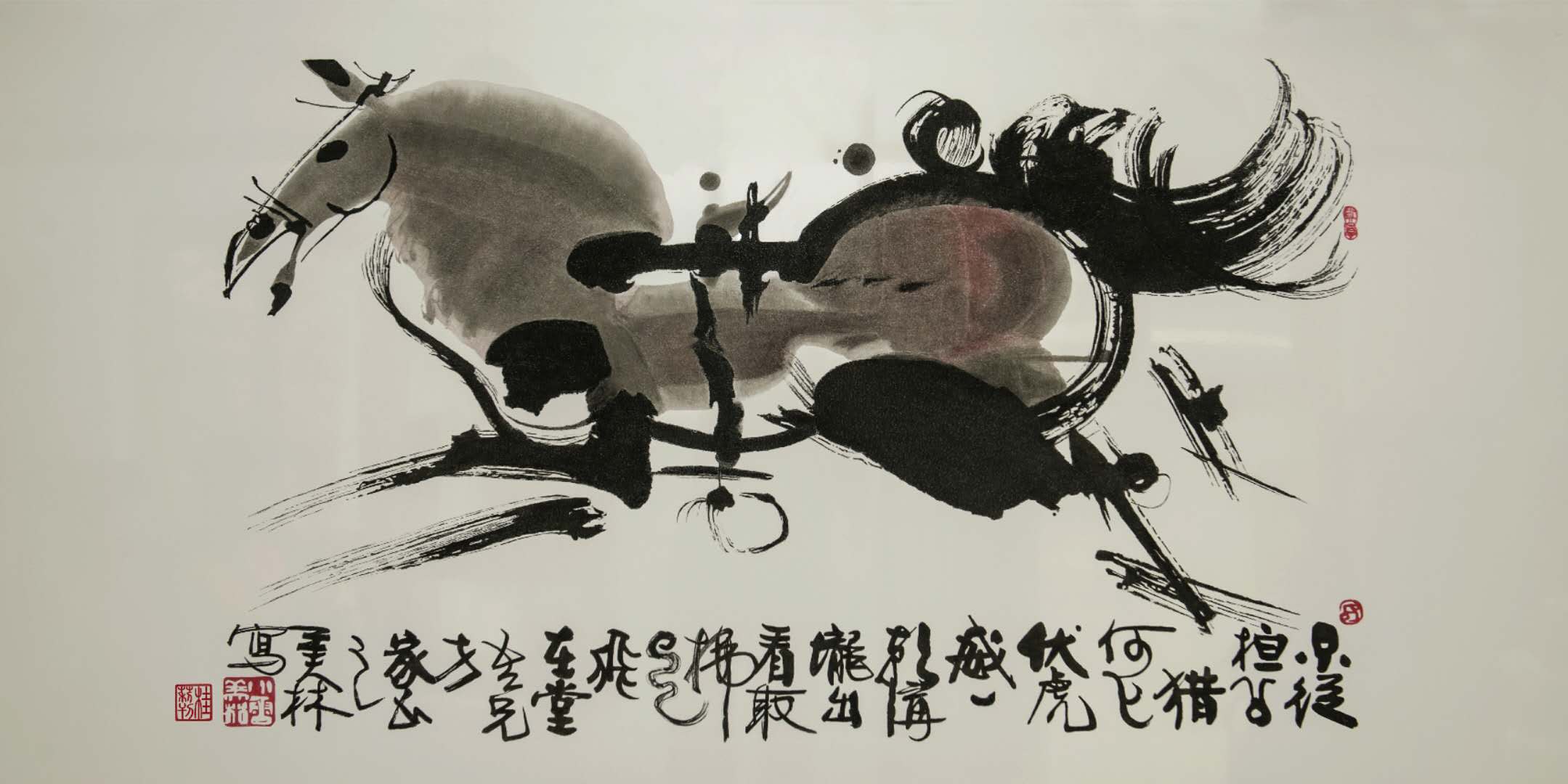 鱼盘E (1164)